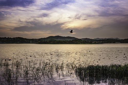 nature lake landscape