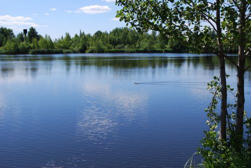 nature pond water