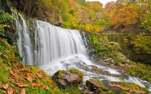 nature water stone