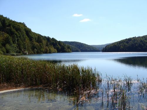 nature lake water