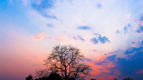 nature clouds trees