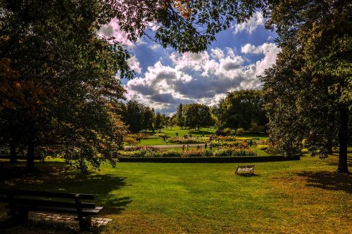 nature landscape meadow