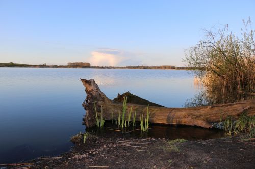 nature water lake