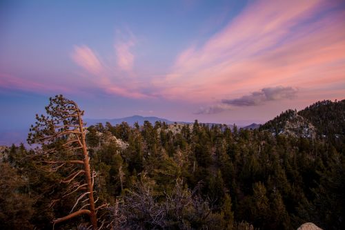 nature landscape sunset