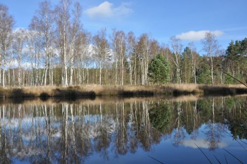 nature water landscape