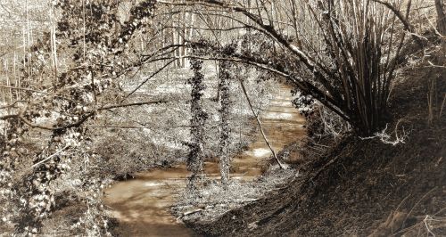 nature water landscape