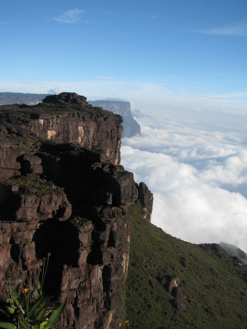 nature roraima canaima