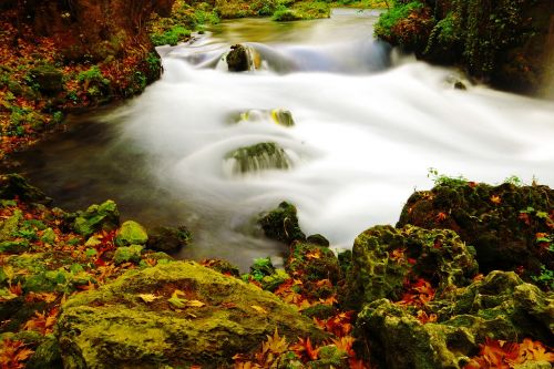 nature long exposure green