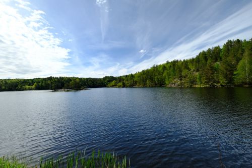 nature landscape grass