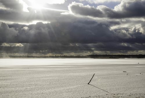 nature winter landscape