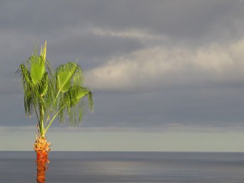 nature beach las palmas de gran