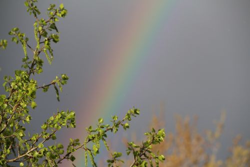 nature rainbow outside