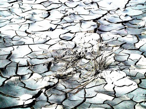 nature drought cracks