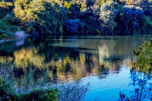 nature lake reflection