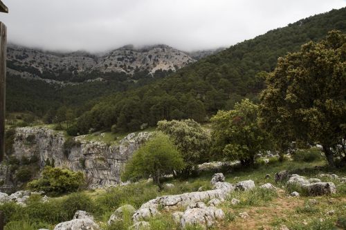 nature landscape clouds