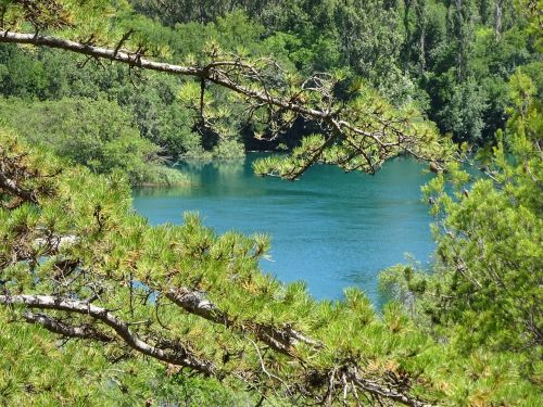 nature water landscape