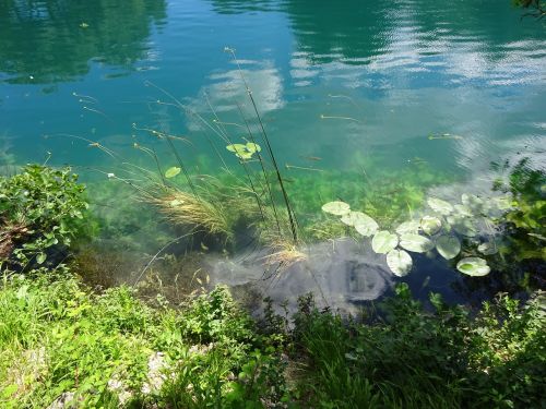 nature water landscape