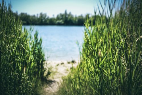 nature lake water