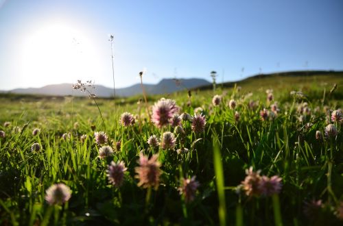 nature turkey landscape