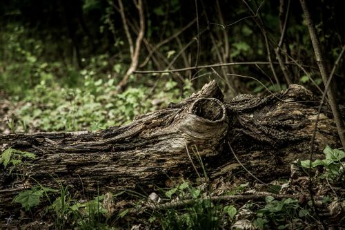 nature lake photography