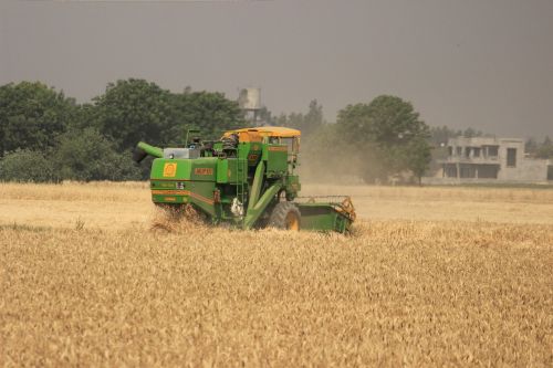 nature landscape farm field