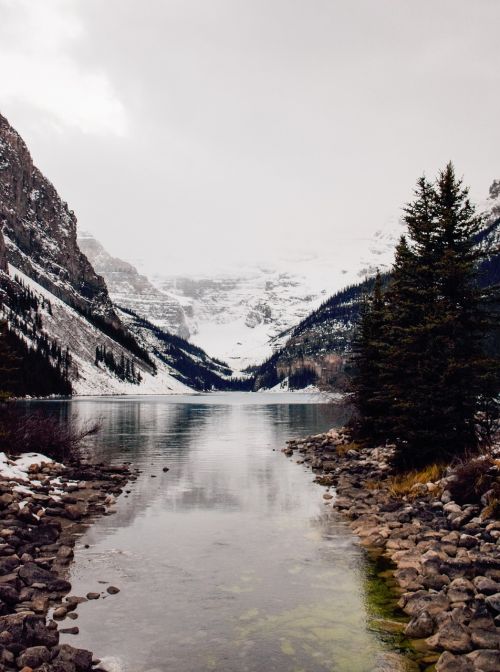 nature water lake