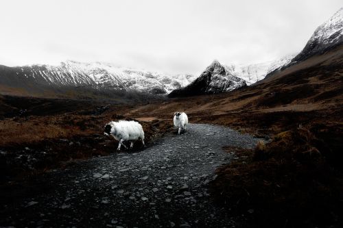 nature mountains snow