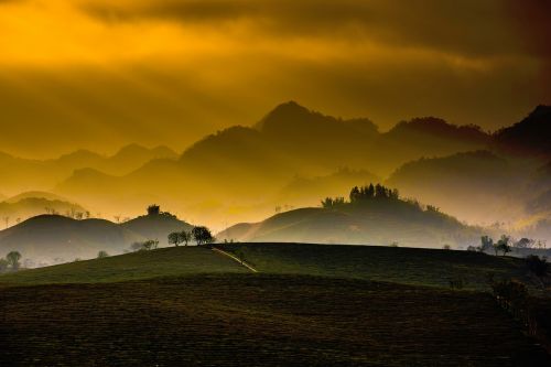 nature mountains trees