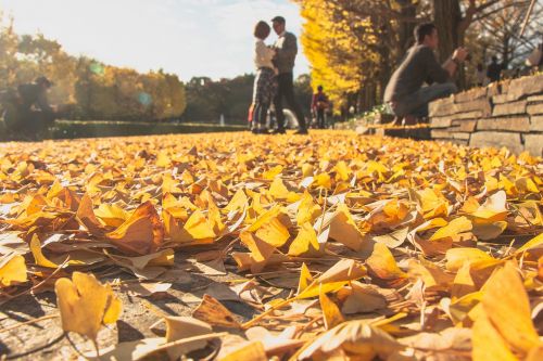 nature people yellow