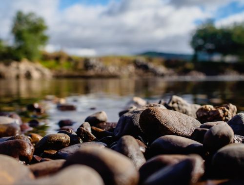 nature landscape water