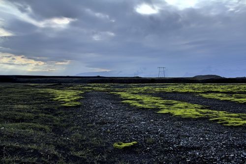 nature landscape field