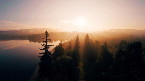 nature landscape woods