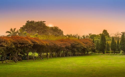 nature landscape green