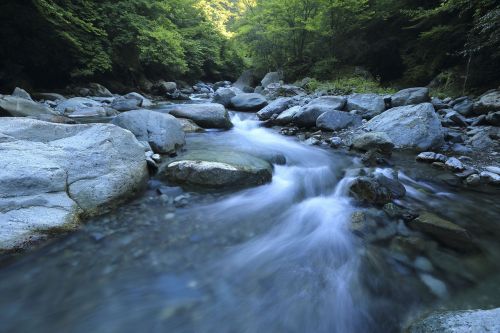 nature landscape water