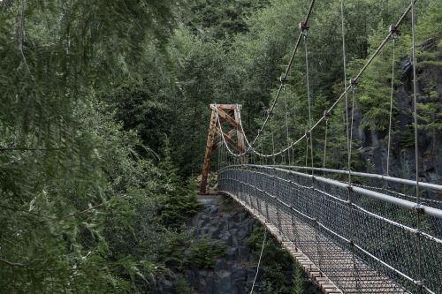 nature landscape bridge