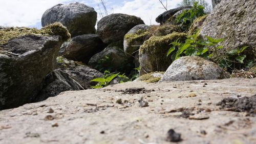 nature stone stones