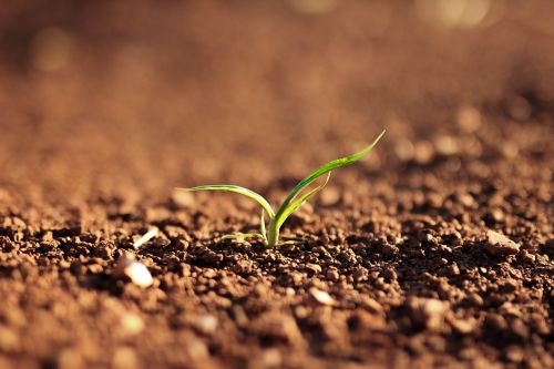 nature landscape soil