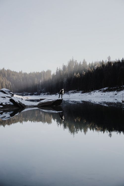 nature snow winter