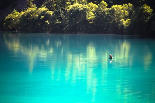 nature landscape water