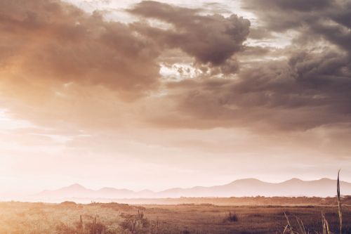 nature landscape field