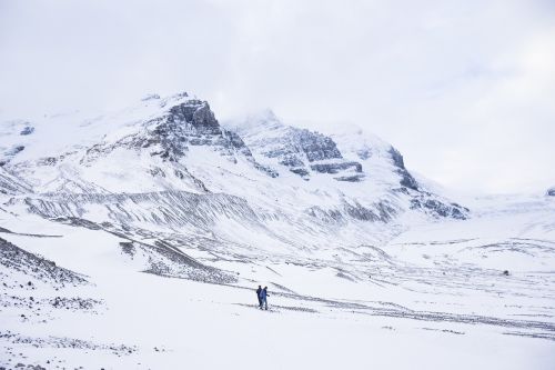 nature landscape snow