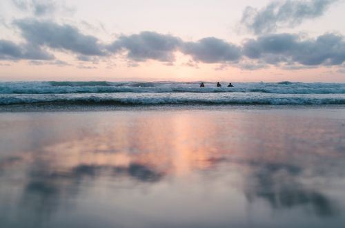 nature landscape water