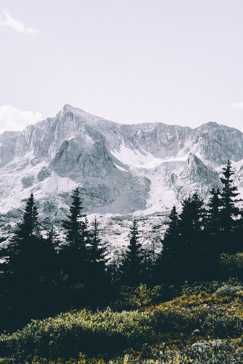 nature mountain trees