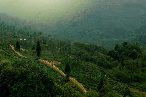 nature landscape aerial