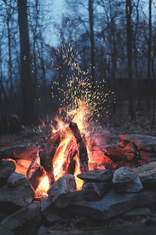 nature fire bonfire