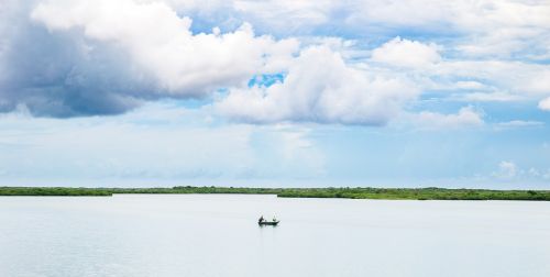 nature landscape water