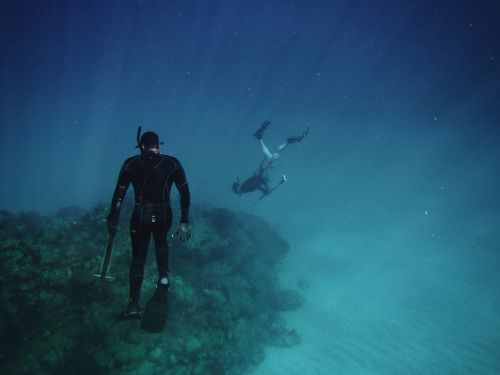 nature landscape ocean