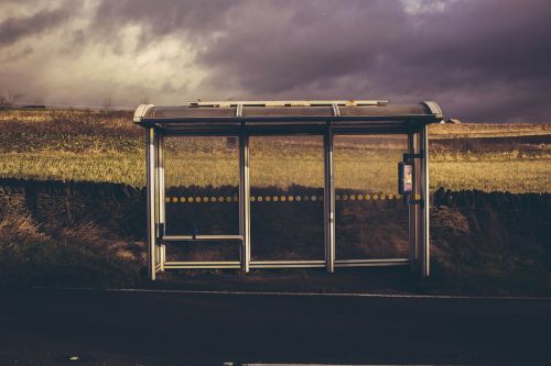 nature landscape shed