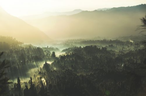 nature landscape mountain