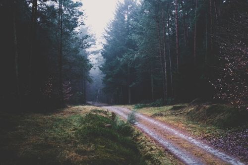 nature landscape trek